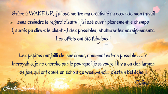 WAKE UP | Christine Lewicki | Coaching | Développement personnel